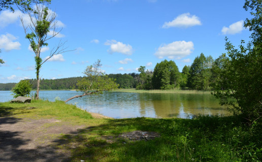 46_Jonėnų II stovyklavietė (1).jpg